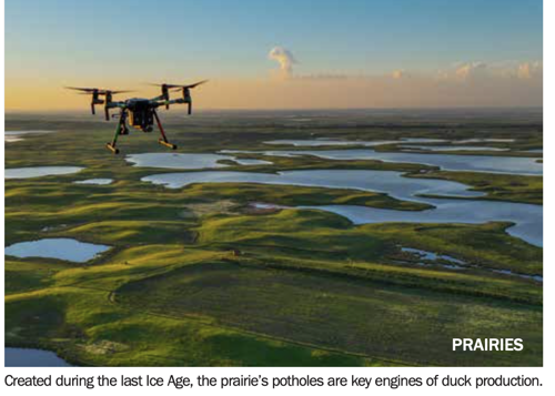 Prairies with drone flying over potholes