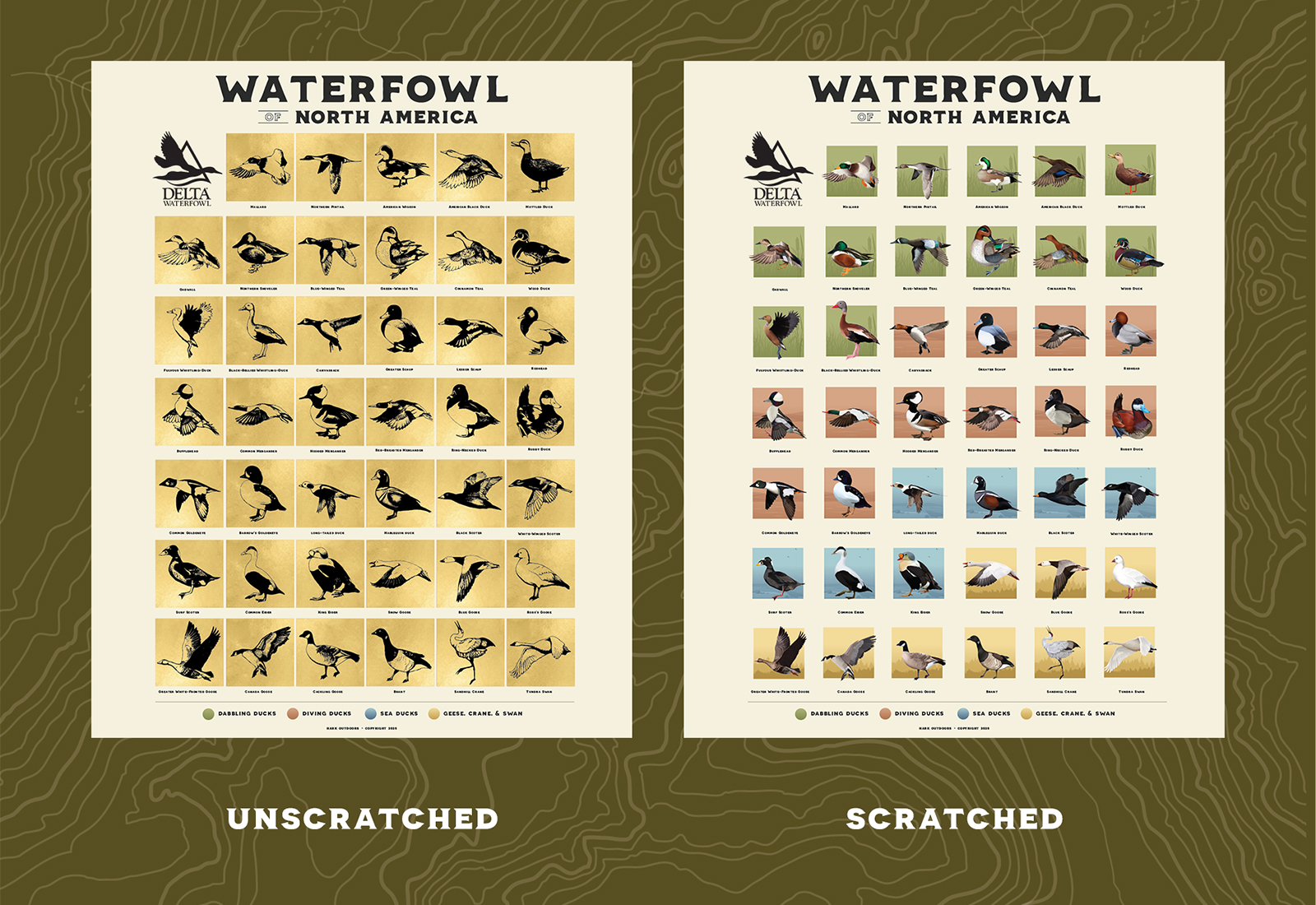 Waterfowler's Field Record scratch-off species posters