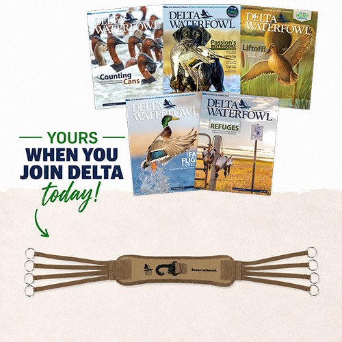Free Banded Duck Strap when you Join Delta Today!